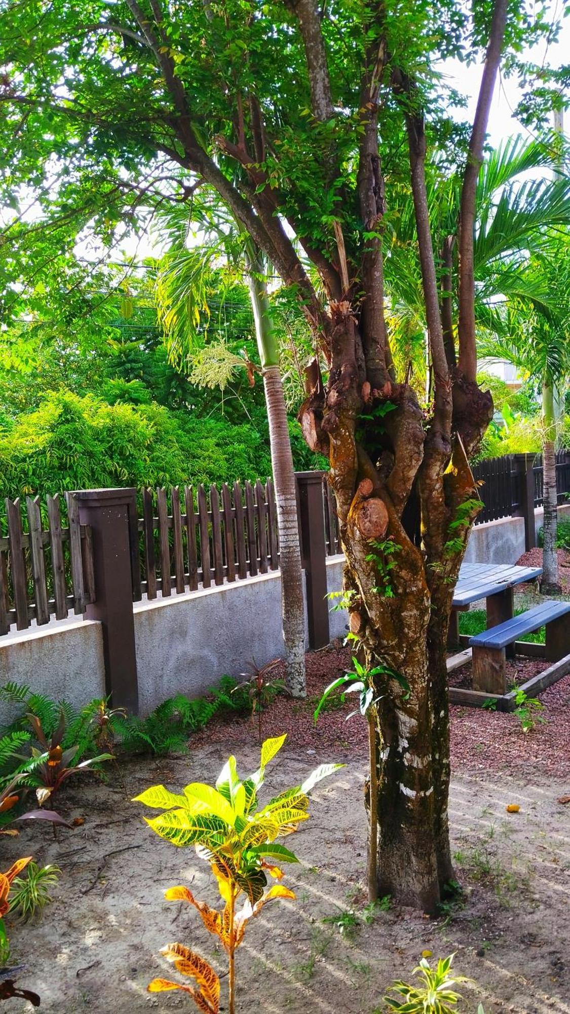 Fern Lodge Self Catering La Digue Room photo